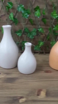 Dupla De Vaso Decorativo Em Ceramica Para Arranjos Casa Sala
