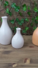 Dupla De Vaso Decorativo Em Ceramica Para Arranjos Casa Sala